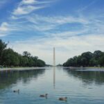National-Mall-reflecting-pool-algae