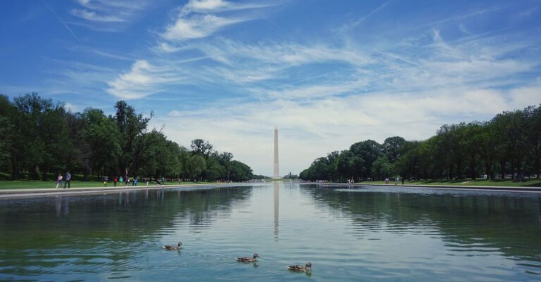 National-Mall-reflecting-pool-algae