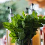 mint-syrup-glass