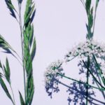 spring-blues-mood