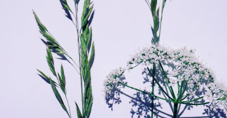 Illustration de Le blues du printemps, quand le renouveau rime avec déprime spring-blues-mood