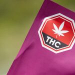 synthetic-cannabis-packaging