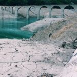 French-forest-drought