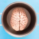 brain-mental-health