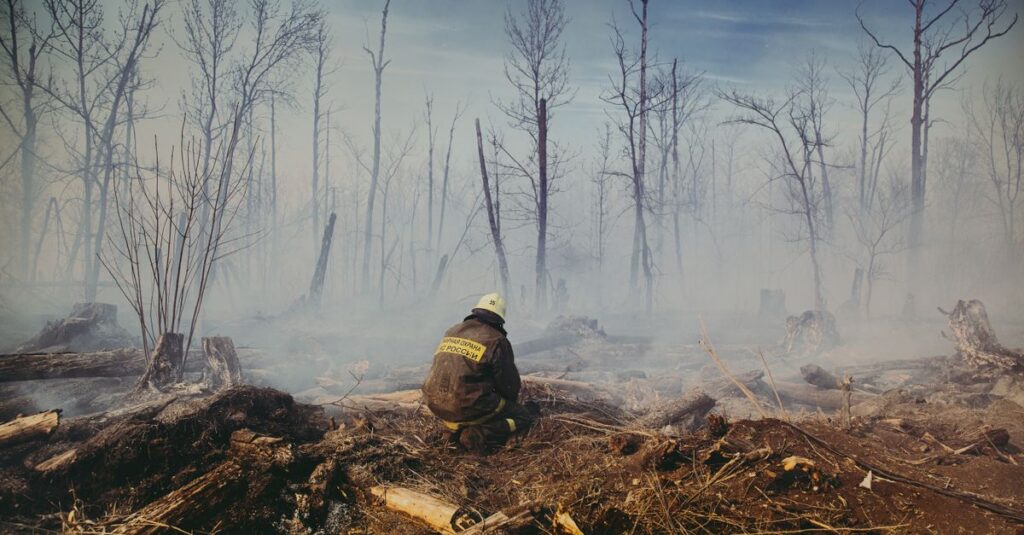 firefighter-forest-fire