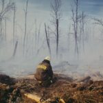 firefighter-forest-fire