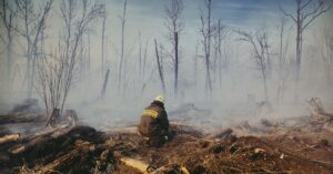 Illustration de Décès d'un pompier en Savoie, la France face aux incendies firefighter-forest-fire