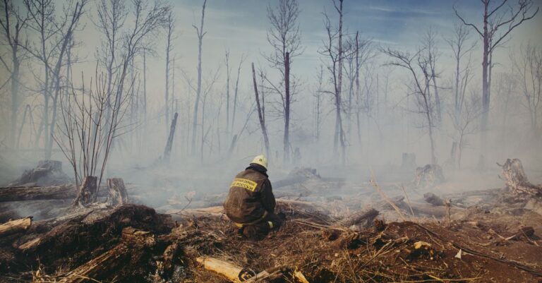Illustration de Décès d'un pompier en Savoie, la France face aux incendies firefighter-forest-fire