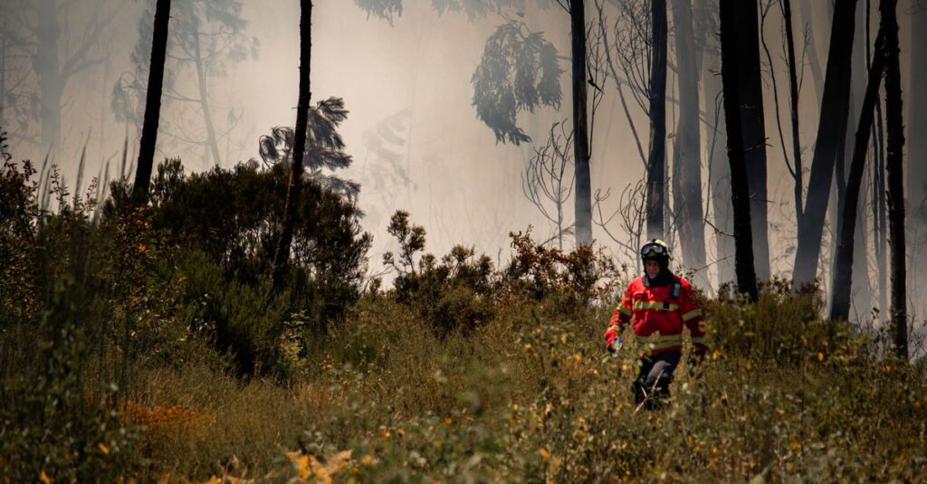 firefighter-forest-fire-france