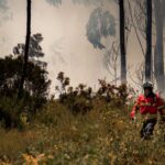 firefighter-forest-fire-france