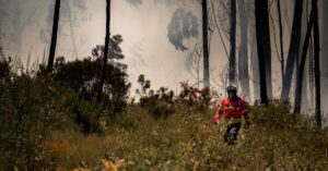 Illustration de Gironde : reprise de feu intense à Lanton, mobilisation maximale firefighter-forest-fire-france