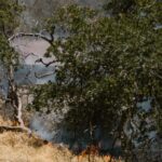 firefighters-forest-fire-1
