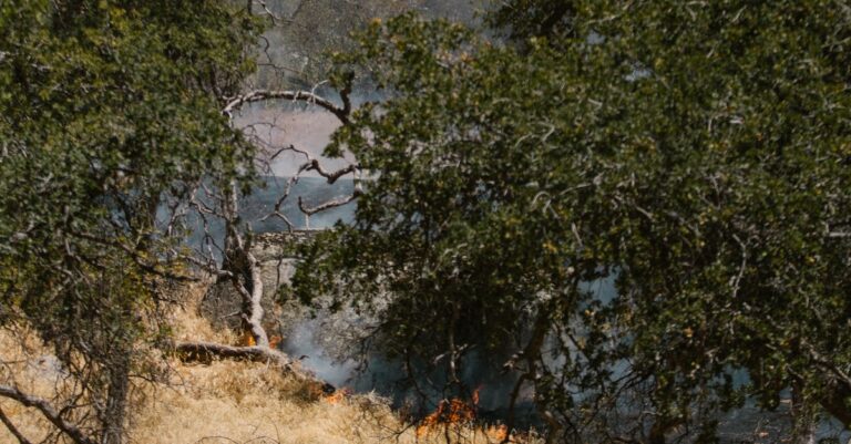 Illustration de Alerte Rouge Feux de Forêt : six départements méditerranéens concernés firefighters-forest-fire-1