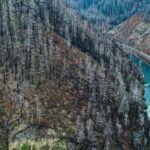 forest-fire-aerial-view-2