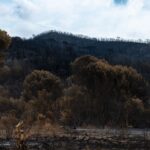 macron-gironde-wildfires