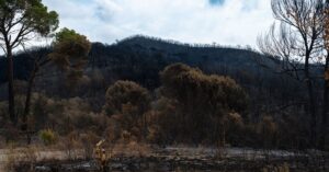 Illustration de Incendies en Gironde: Macron prévient, des semaines "rudes" macron-gironde-wildfires