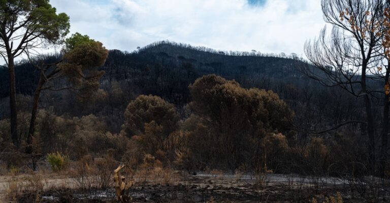 macron-gironde-wildfires