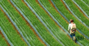 Illustration de Acétamipride : ce pesticide réintroduit par la loi agricole pesticide-sprayer-field