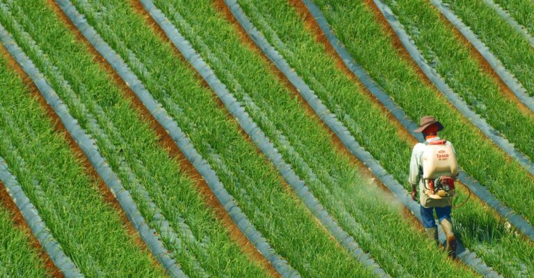 Illustration de Acétamipride : ce pesticide réintroduit par la loi agricole pesticide-sprayer-field