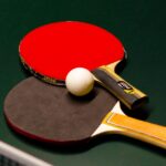 table-tennis-brothers-match