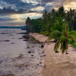 tropical-pacific-ocean