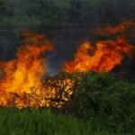 France-wildfires-Middle-East-conflict