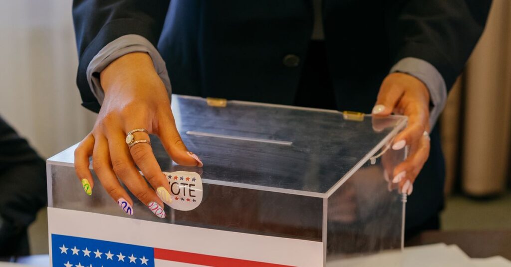 Illustration de L'électorat du RN : une mutation vers les diplômés et seniors French-election-ballot-box-16