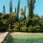 New-Caledonia-government