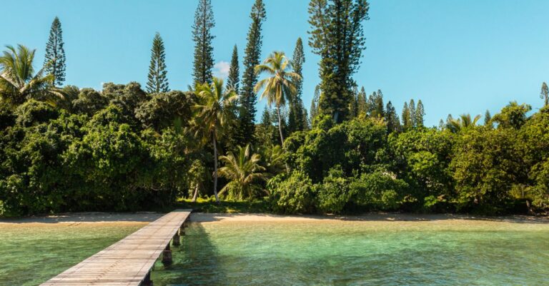 New-Caledonia-government