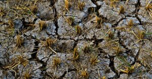 drought-agriculture-france