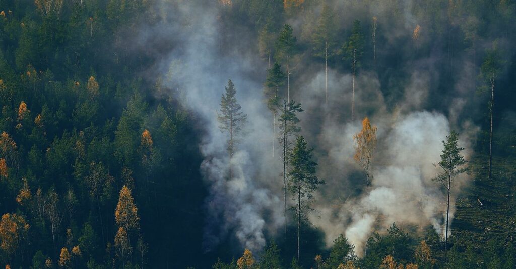 forest-fire-aerial-view-3