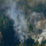 forest-fire-aerial-view-3