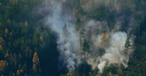forest-fire-aerial-view-3