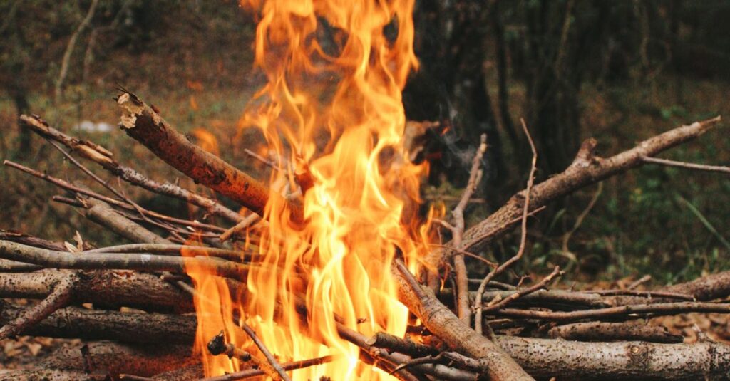 Illustration de Incendies : Que faire du bois brûlé pour éviter le gaspillage ? forest-fire-wood