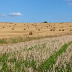 hot-dry-weather-France