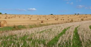 hot-dry-weather-France