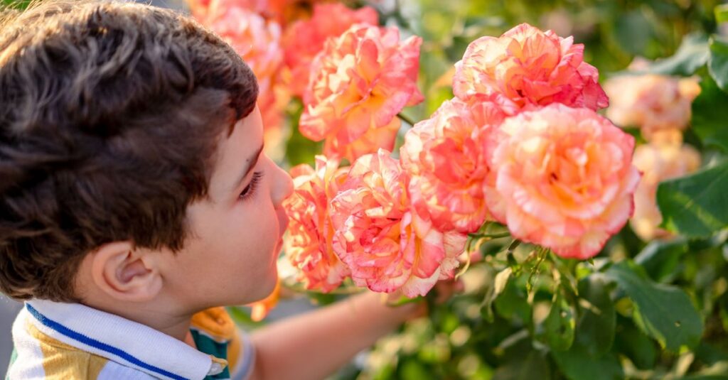 memory-childhood-smell