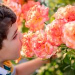 memory-childhood-smell
