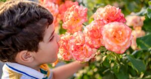 memory-childhood-smell